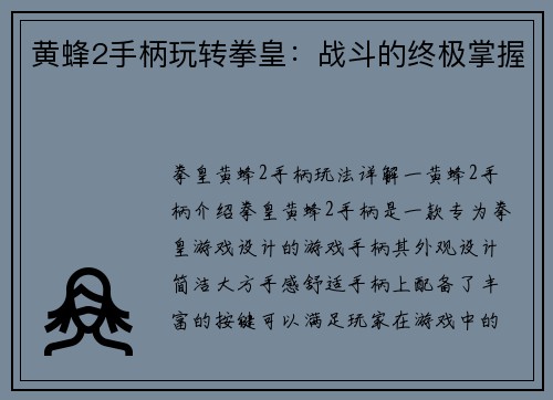 黄蜂2手柄玩转拳皇：战斗的终极掌握